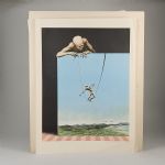 1770&nbsp;3267&nbsp;Färglitografier